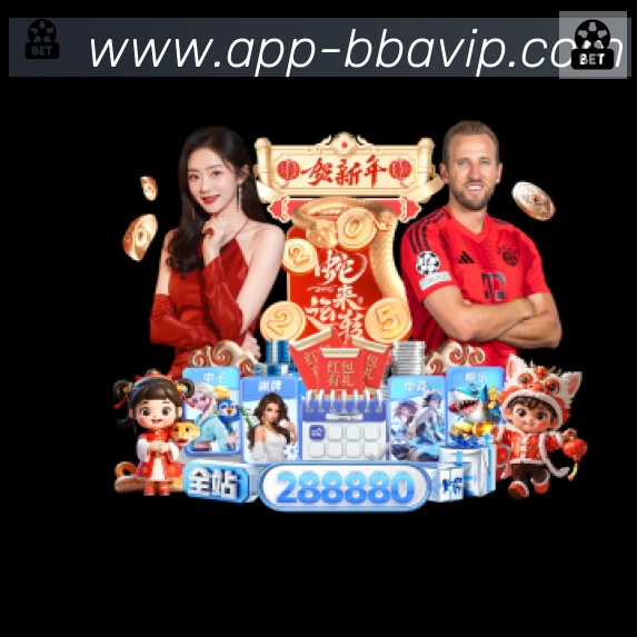 未来规划